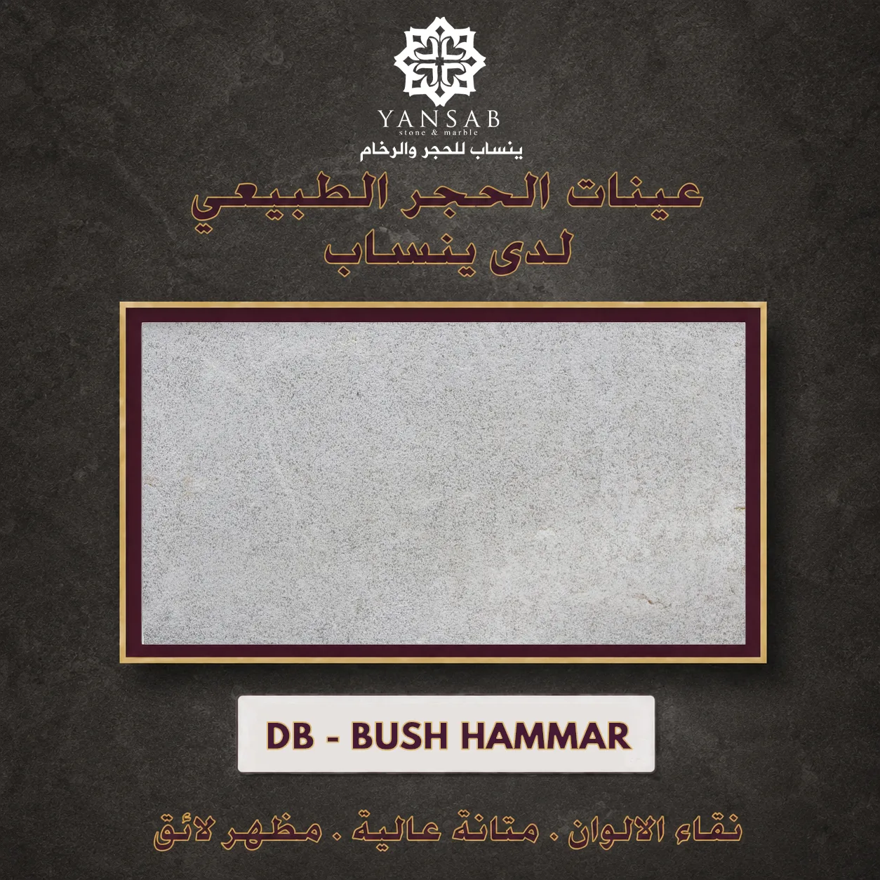 DB - BUSH HAMMAR