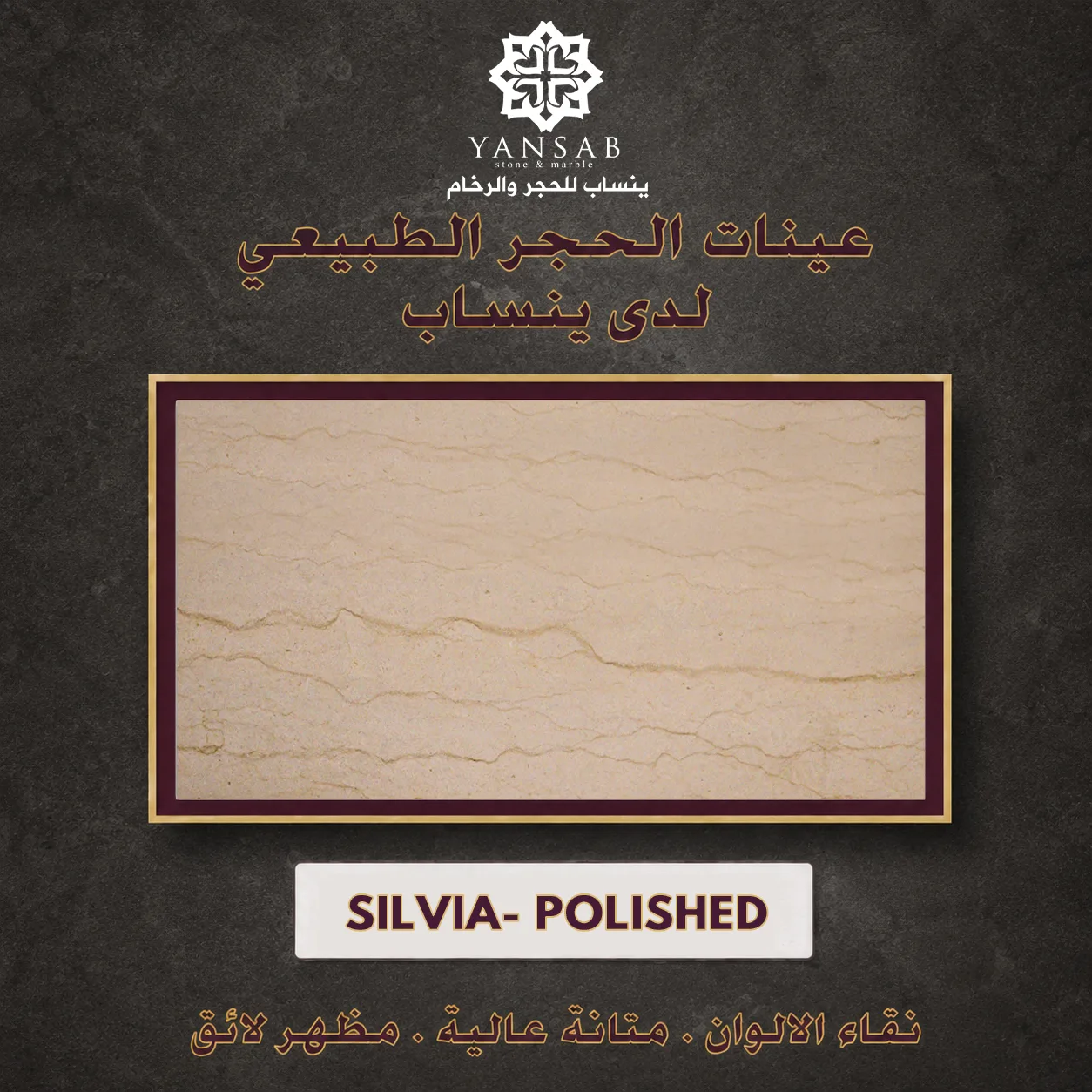 SILVIA - POLISHED