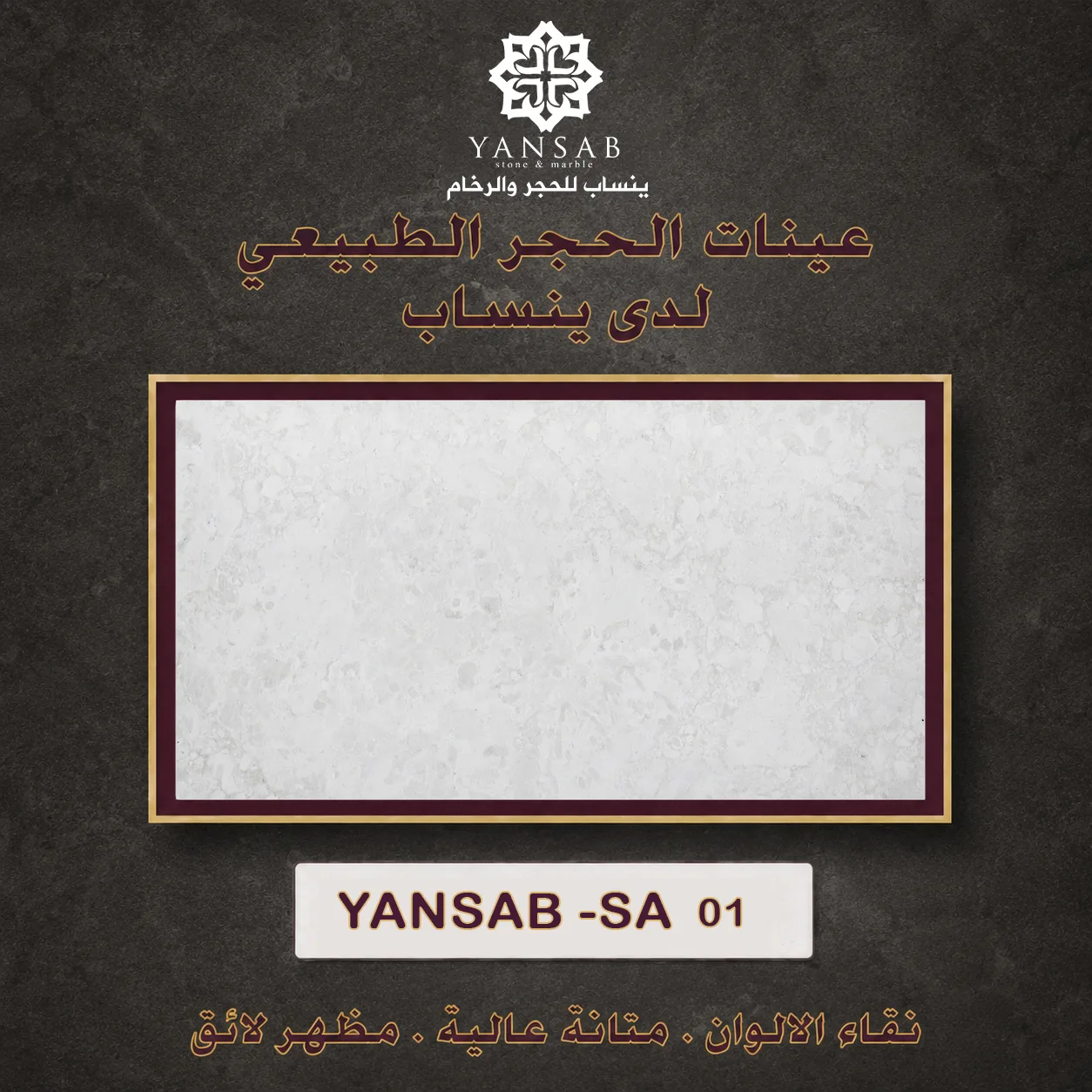 YANSAB _ SA _ 01