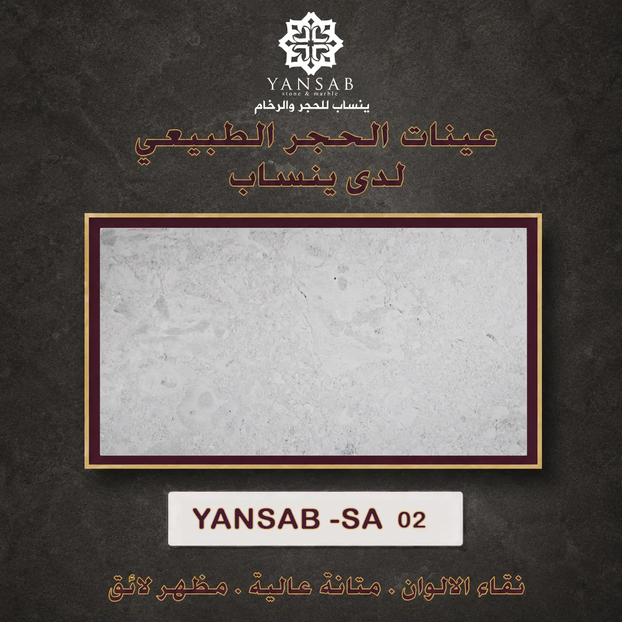 YANSAB _ SA _ 02