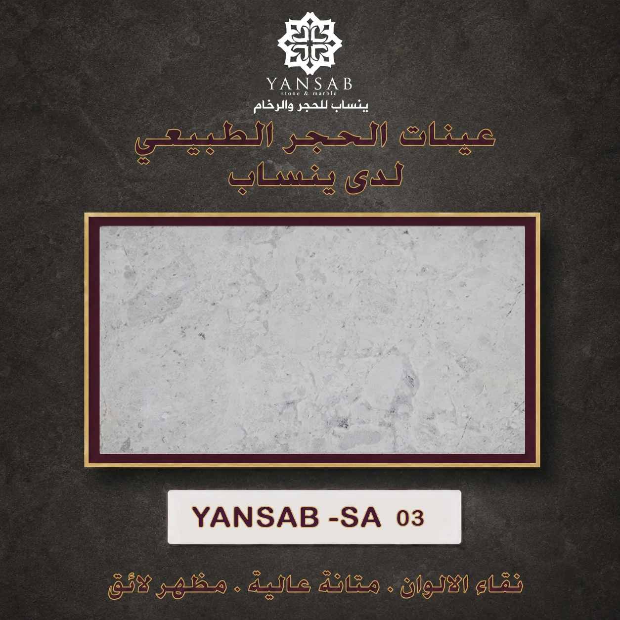 YANSAB _ SA _ 03