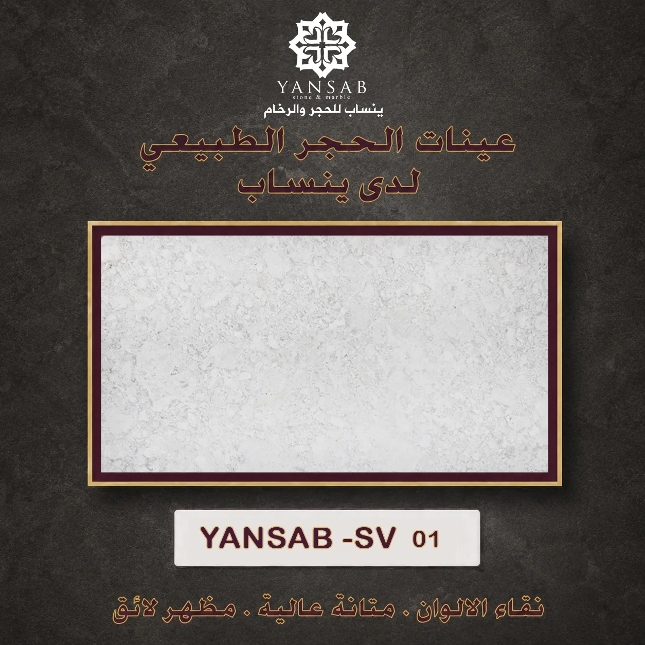 YANSAB _ SV _ 01