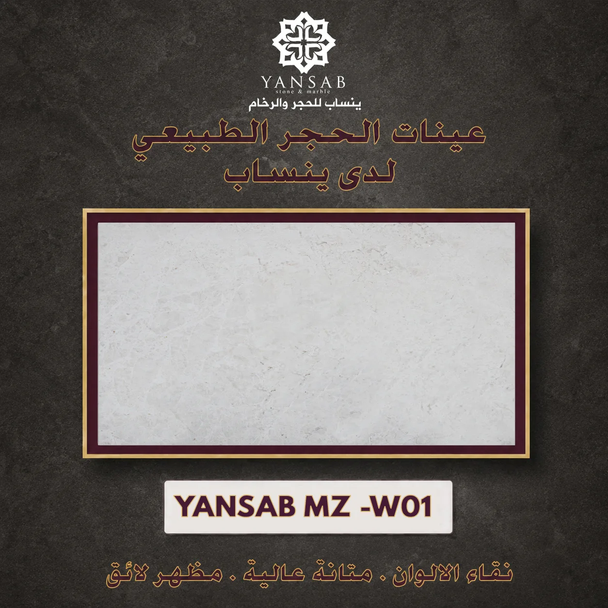 YANSAB _ MZ _W01