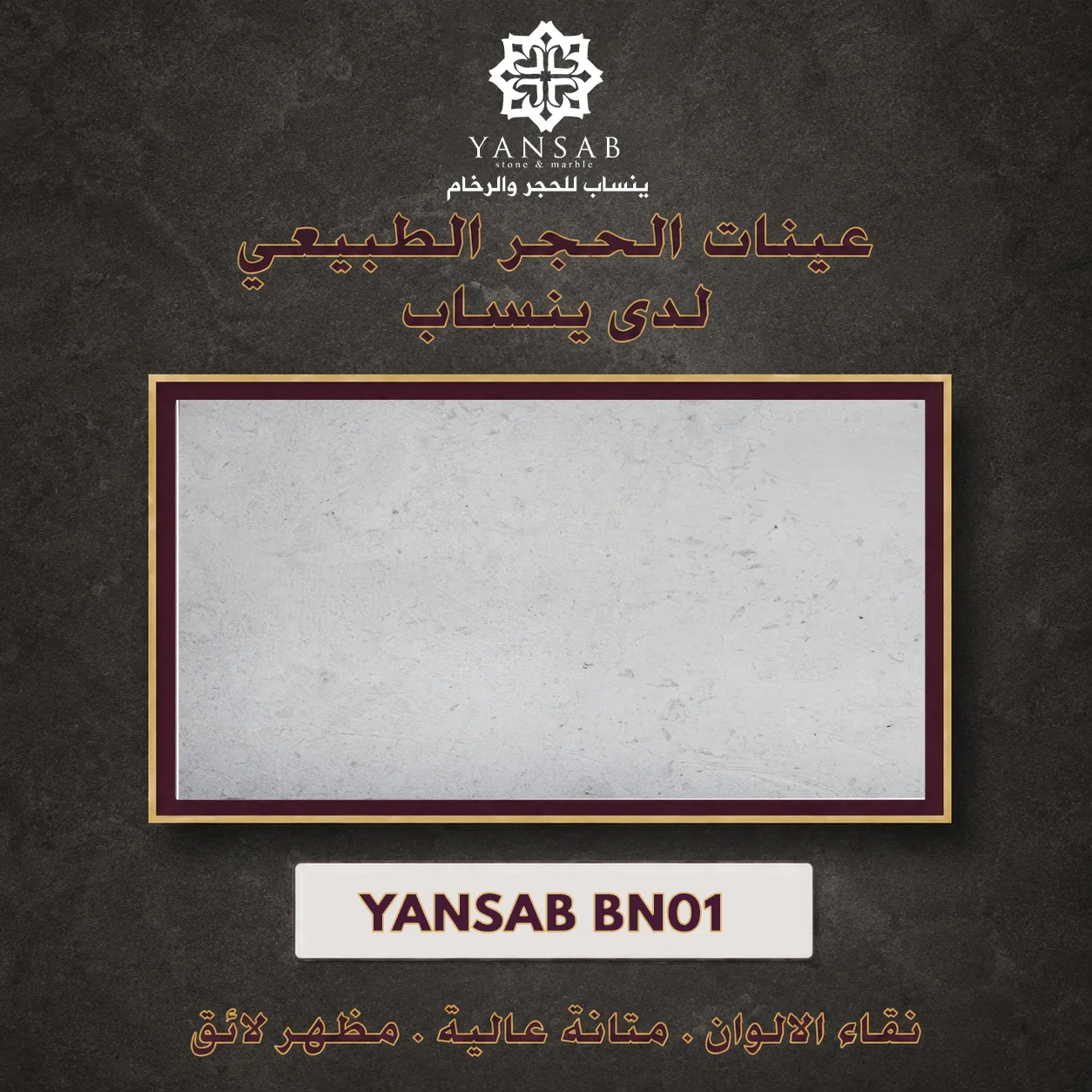 YANSAB BN01